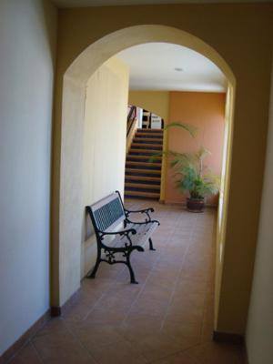 Hotel Colli San Jose del Cabo Exterior photo